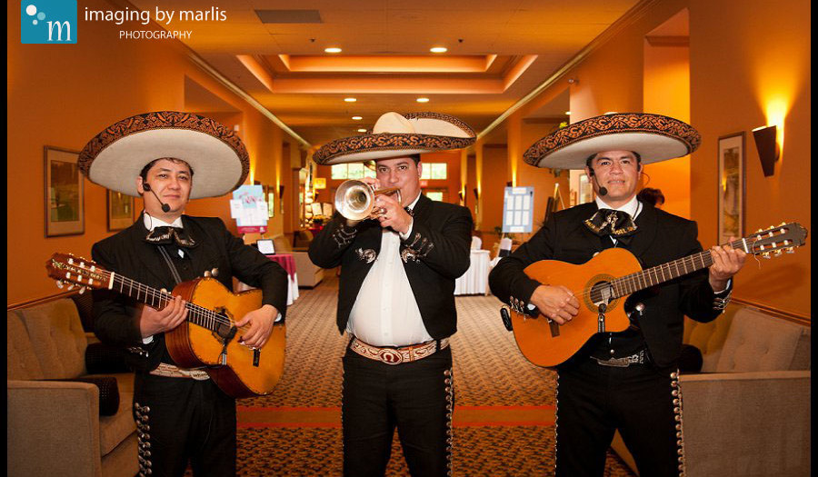 Day Ten: Ukrainian + Mexican = Mariachi at the Wedding! | Christmastide - 12 days of blogging